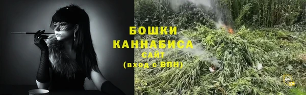 apvp Аркадак