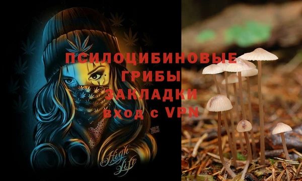 apvp Аркадак